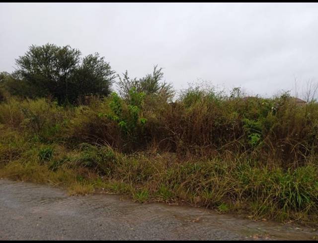LAND FOR SALE IN LA HOFF